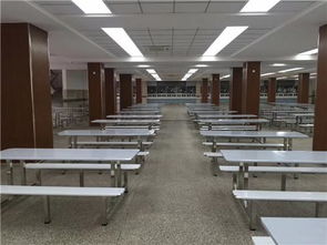 广东鸿美佳家具厂专业定制不锈钢餐桌椅 品质、定制与价格解析